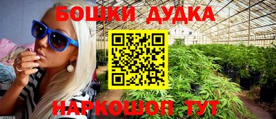 прущие грибы Будённовск